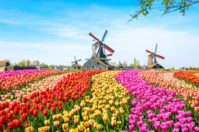 Travel Insurance for the Netherlands