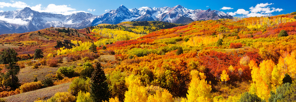 Fall Travel Foliage